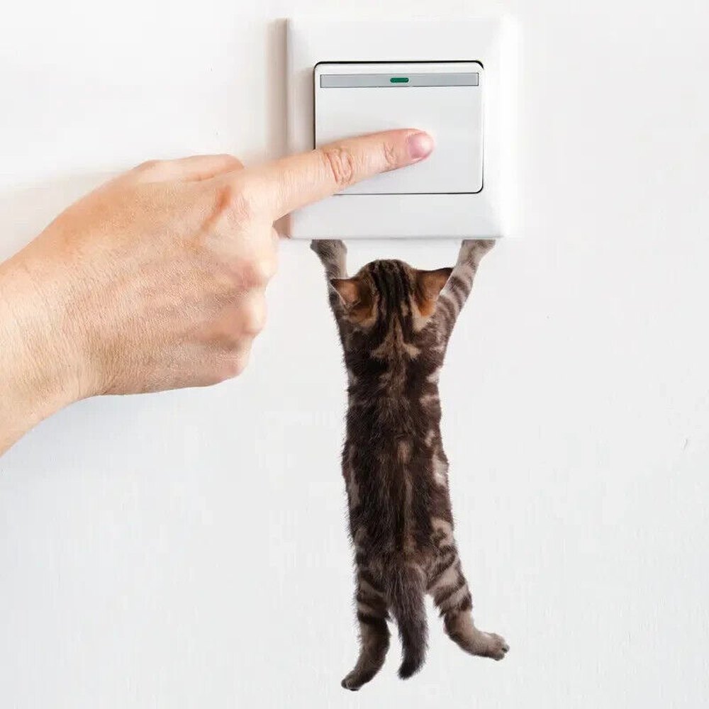 3 Kitten Patterns, Self-adhesive Detachable Wall Stickers Light Switch Stickers Home & Garden:Home Décor:Decals, Stickers & Vinyl Art Style Your Walls